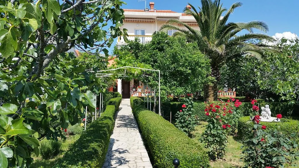 Guesthouse Mira Rab Town