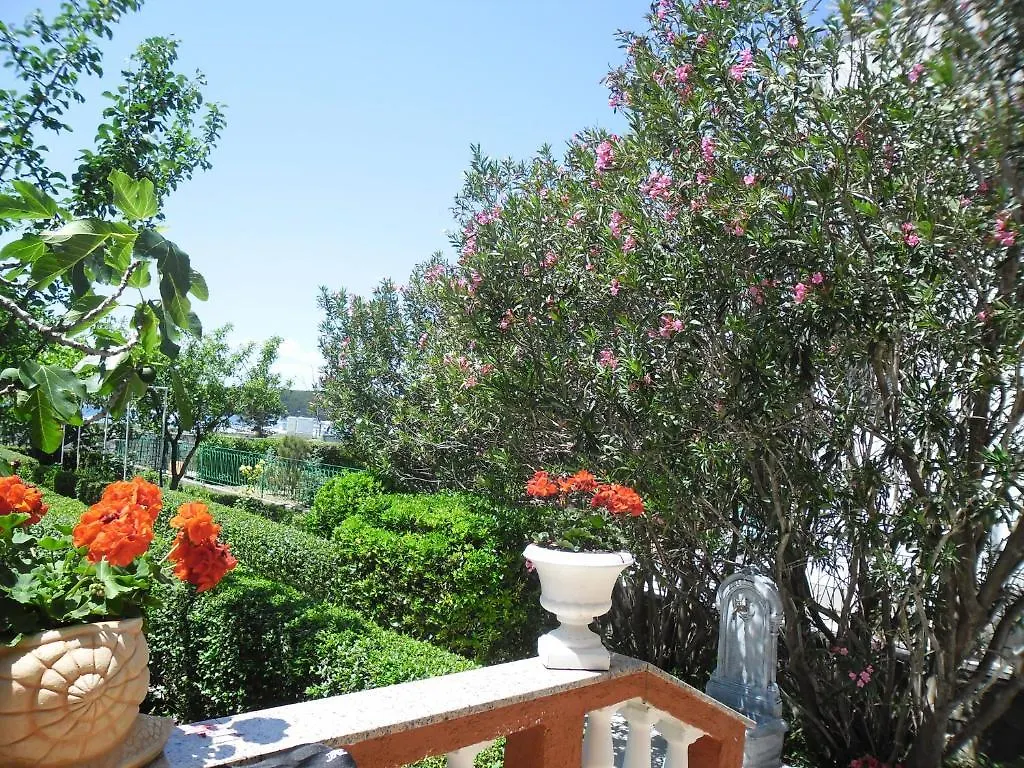 Guesthouse Mira Rab Town