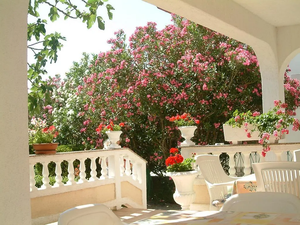 Guesthouse Mira Rab Town