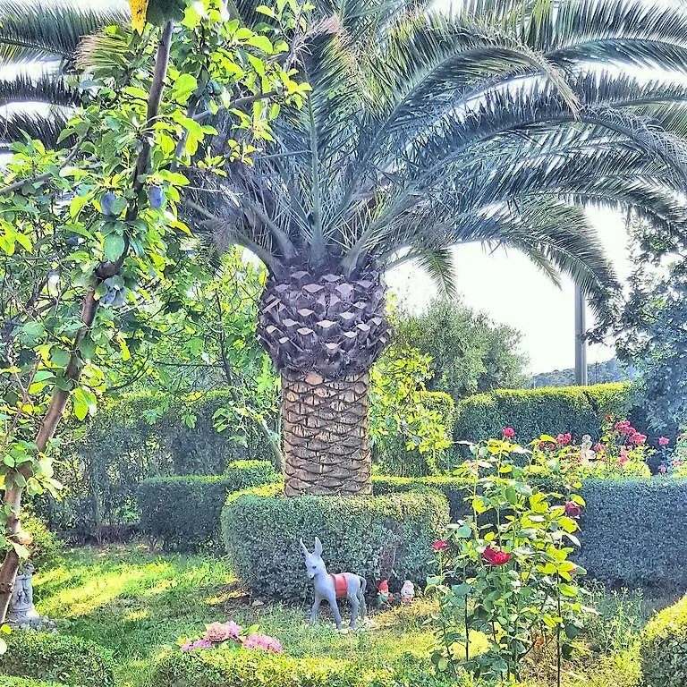Guesthouse Mira Rab Town Pensionat